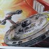 dandelionsandstarships