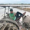 kedochanh_61097