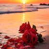 m.waqas.zaman