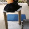 legocat3000