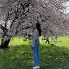 jyoti.pinasha