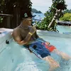 santiyouknow