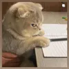 radjalaksana_10
