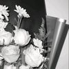 _ravv12