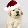 doguinho7385
