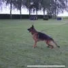clarkgsd