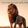 malik.nasir.khokh91