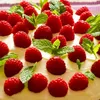berrie5500