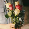sham_ha21