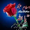 shahbazhaider8773