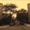 illmatic.a