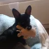 janandbug05