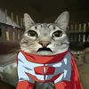 ciprakxd10