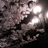 wx_6qw_1