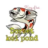 dorset.koi.pond