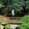 brunogorge234