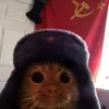 chuuyavanlav