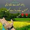 roohanmughal4