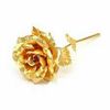 gold_rose699
