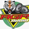 agr_audio_real1