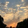 shahdmahmoud6076