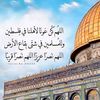 dr_noha.kamal
