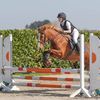 kate_equestrian09