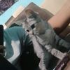 ncannlupseblakkk