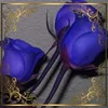 janinacader