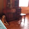 claragaribay553
