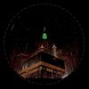yaryar03154
