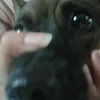 ghittg