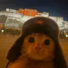 durak_46