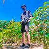 budy.adiwijaya