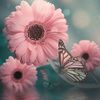 noor.ashikin5