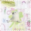 tinee_tulip
