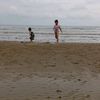 playgame8175