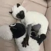 gn.hcib