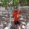 dinhtruong164