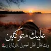 safaayoussef2025