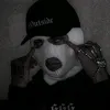 samzuyco