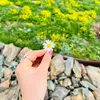 sham_farsat25
