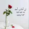 dyjj591