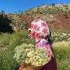bahar__2525