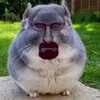 ilovebombaclats67