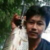 phbass2526