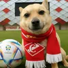 vodafone_3215.uih