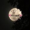 🎀 الترفـــــــــــهـ🎀ً