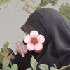 watyn_al2lb
