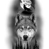 xalid_085